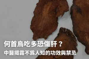 何首烏 什麼人不能吃|何首烏功效｜6款何首烏膠囊推薦＋湯水食譜改善白髮 